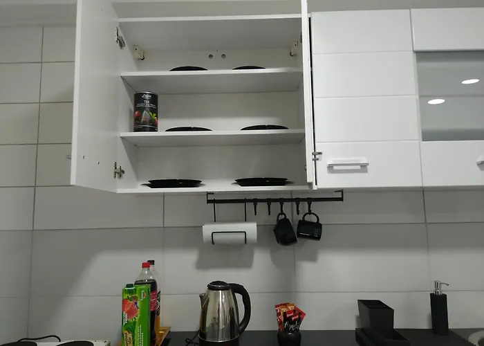 Katy Σρέμσκα Μιτρόβιτσα